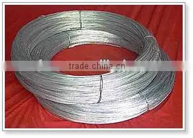 high quality electro galvanized wires(factory)