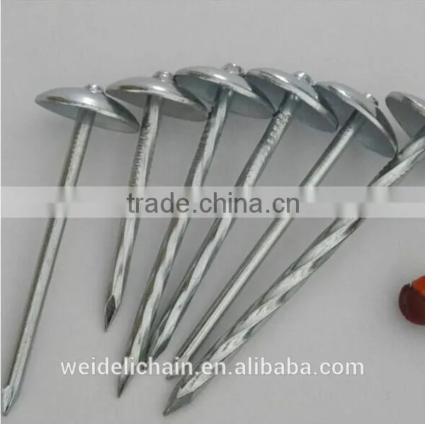 galvanized roofing nails/ umbrella roofing nails