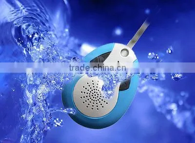 bluetooth speaker with fm radio ( NT-BTS19)