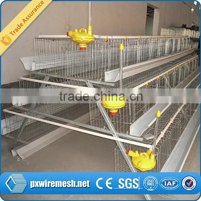 poultry chicken house/ coop for chicken