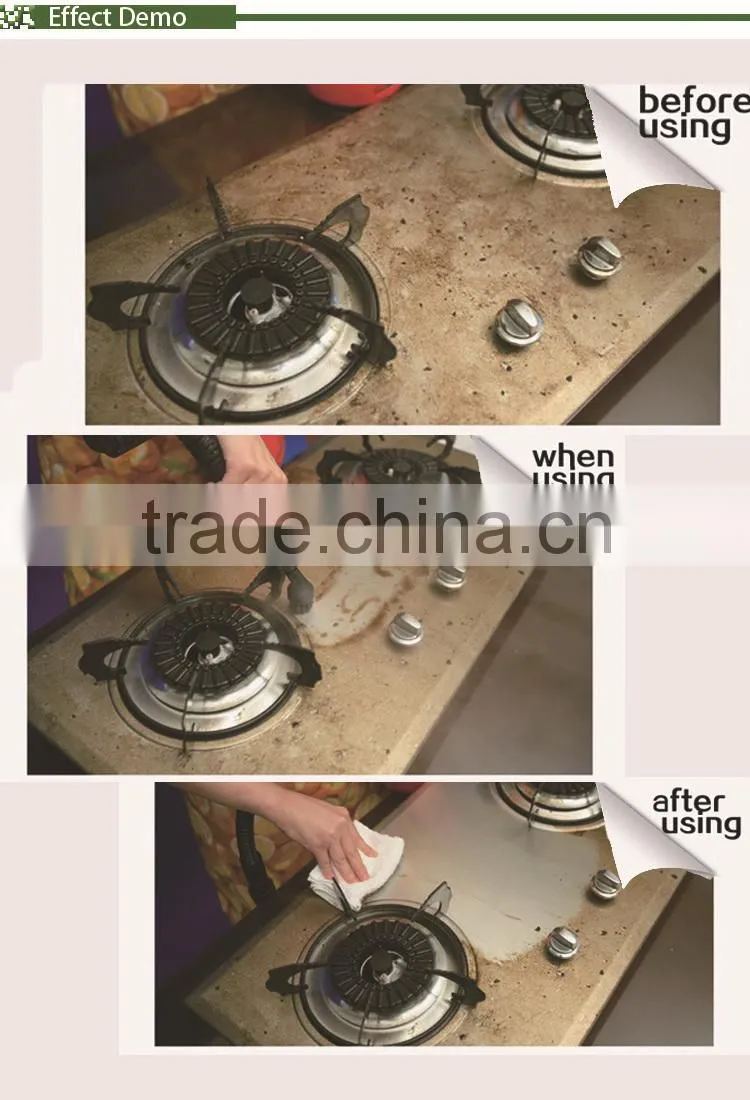 Handheld Portable Steam Cleaner