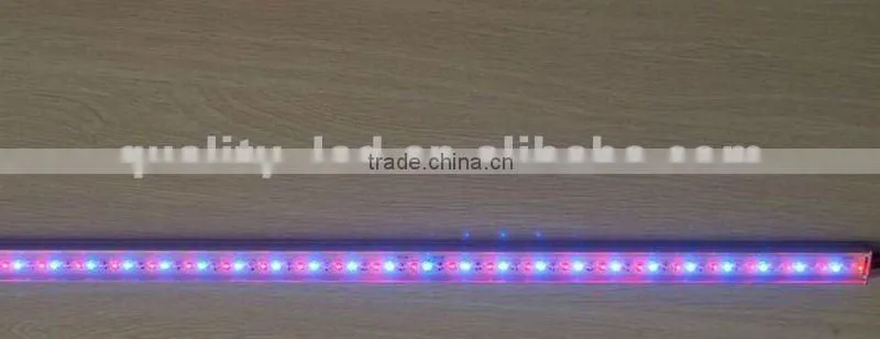 IP65 out door using rigid LED Strip lights