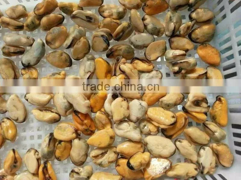 iqf mussel meat seafood mussel meat
