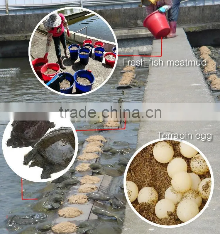 Natural health care Terrapin essence drink beauty supplement