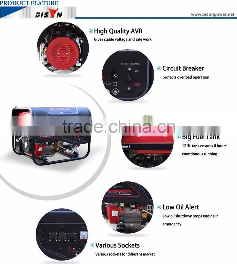 Bison China Taizhou OEM Factory 5KW Air Cooling LPG Biogas Generator