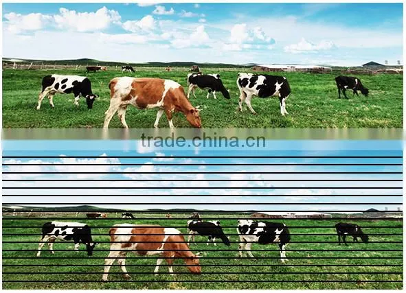 Video Display Function and Full Color Tube Chip Color 6mm Indoor and Outdoor LED Display