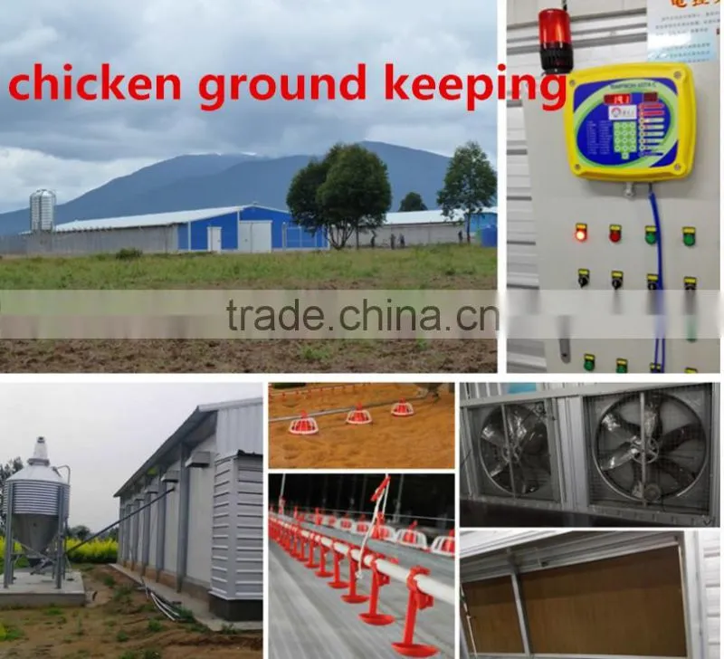 20 years supplier Steel Structure Warehouse