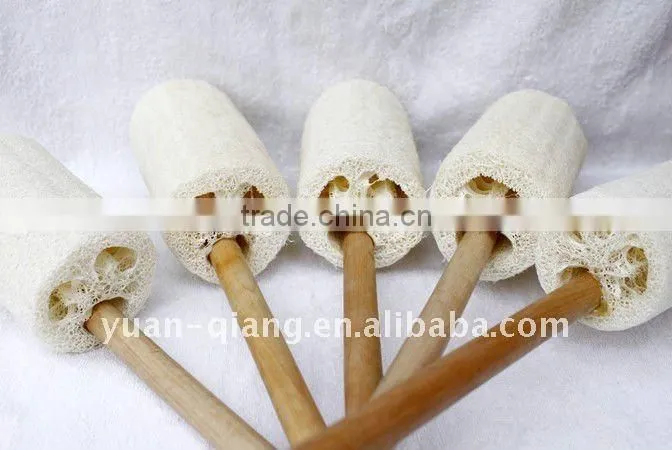 Loofah Bath Brush