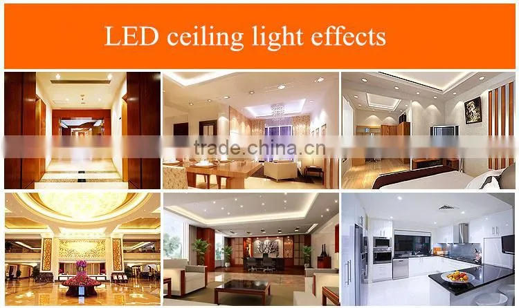 Aluminium IP55 double-end led lamp ceiling china for store shop