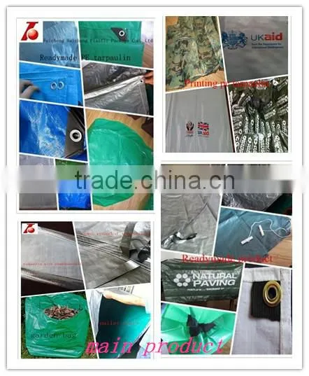 PE/PP Tarpaulin With Eyelets