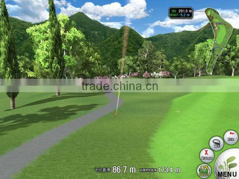 Chinese indoor simulated golf