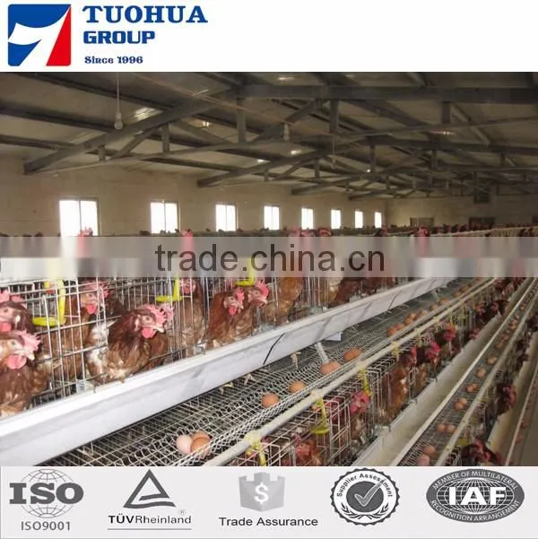 Chicken poultry layer cage for sale,layer poultry cages