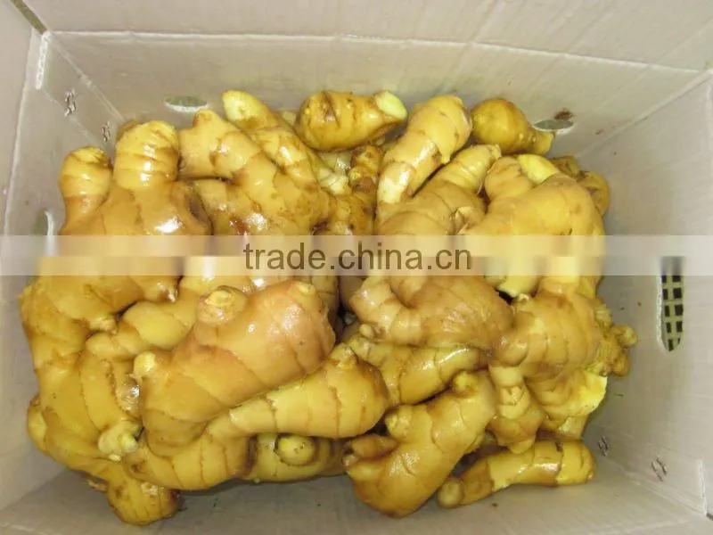 bulk fresh ginger