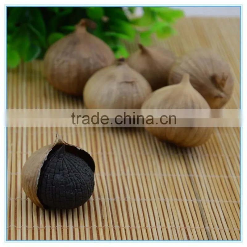 Transparent Canned Packed Aged Black Garlic Extract Powder