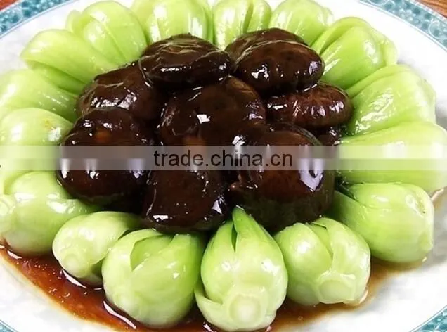 lentinus edodes/mushroom champignon/champignon mushroom