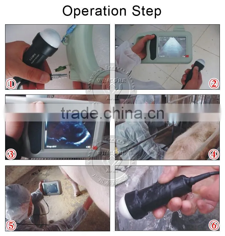 Waterproof ultrasound scanner for veterinary ultrasonography B ultrasound