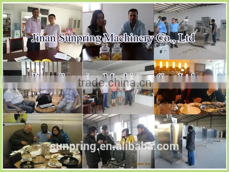 Soybean Protein Nuggets Processing Machine