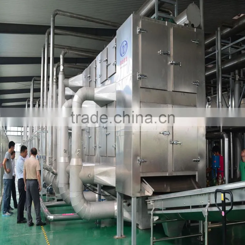 New Condition and Dehydrator onion powder processing line