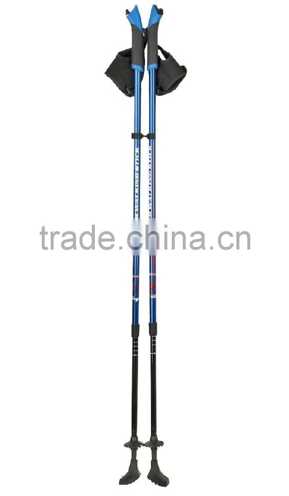 Nordic walk stick, 2 sections, internal lock, EVA handle with glove, carbon fiber shaft, SZ17015