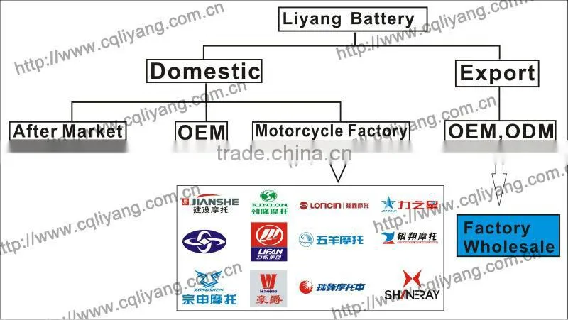 LiYang Dry Charged Tricycle Battery 12V 28A