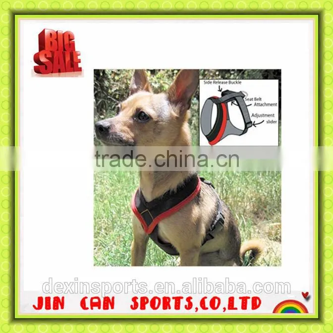 pets clothes and accessories