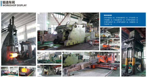 Zhangjiagang Desheng Forging Co.,Ltd company overview - view 2