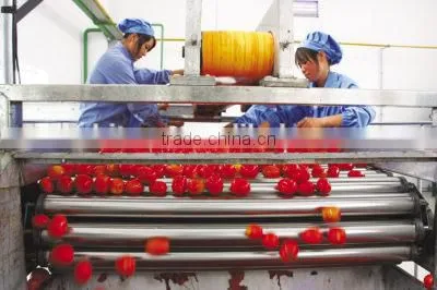 Professional Manufacture tomato paste production line