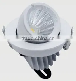 Ronse 10W factory supply led cob trunk light rotable lighting(RS-F251C)