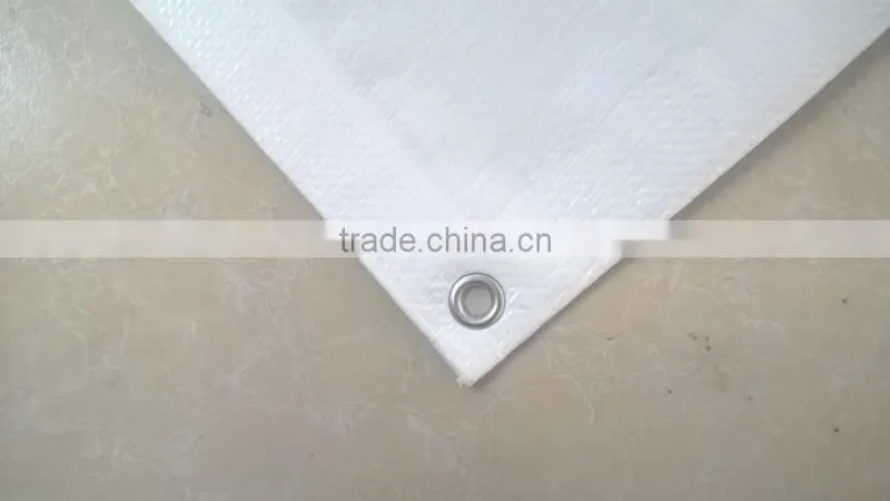 canvas fabric pe tarpaulin sheet