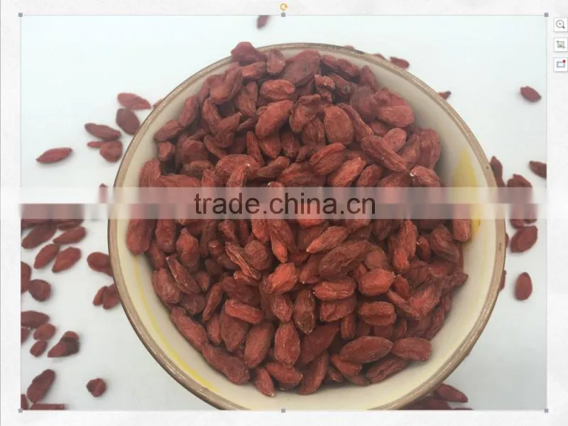 Current Price For Ningxia Goji Berry Dried
