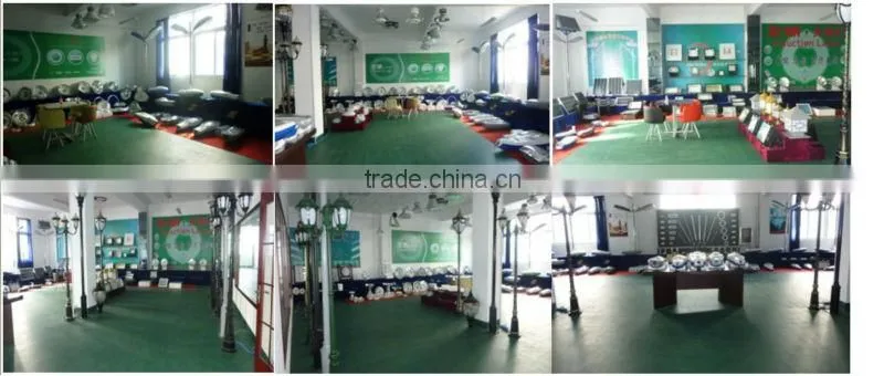 electrodeless discharge induction lamp with CE