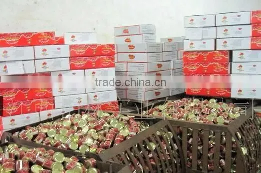 Double Concentrate Canned Tomato Paste Factory Size 70g~3000g.