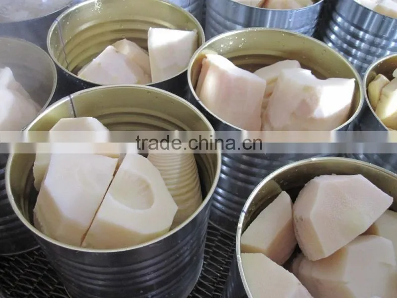 High quality canned bamboo shoot to European,American,Africa
