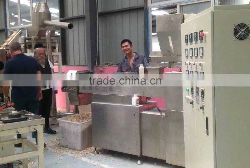 Snack machine production line/Snack extrude machine/snack equipment