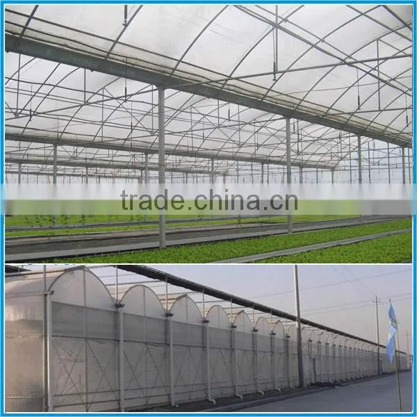 Multi-span plastic film greenhouse and forever flowering auto blackout greenhouse