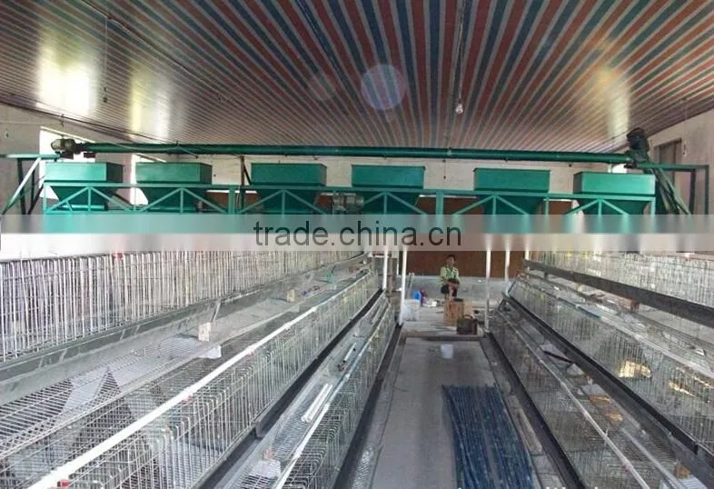 practical design layer chicken cage for pakistan chicken farm
