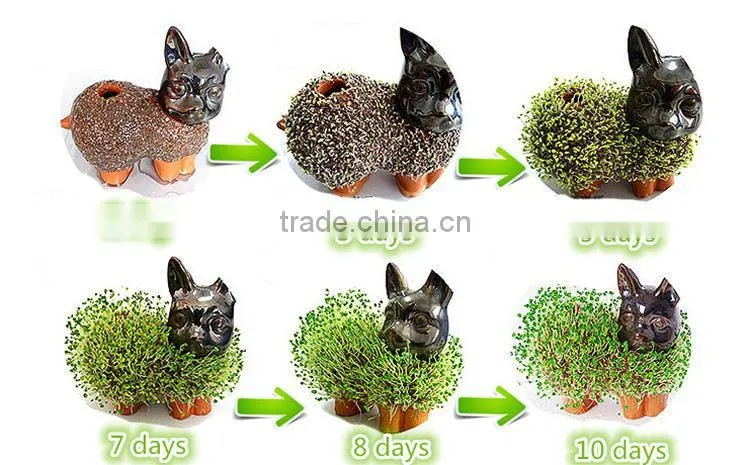 pormo gifts usb chia pet gifts for newly married couple wedding thank you gifts for guests