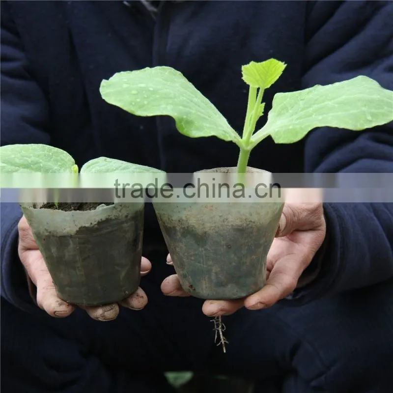 SAP for agriculture