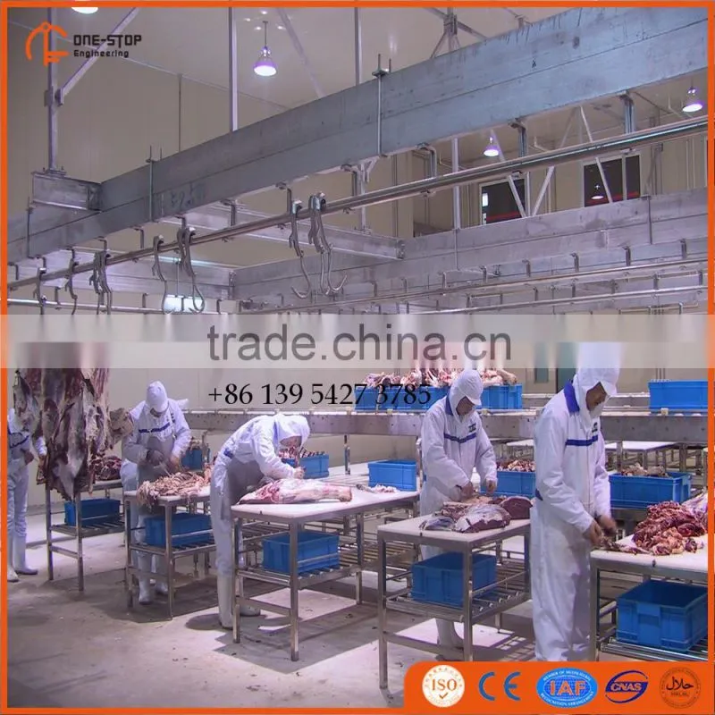 500 cattle slaughter line equipment with good layout design