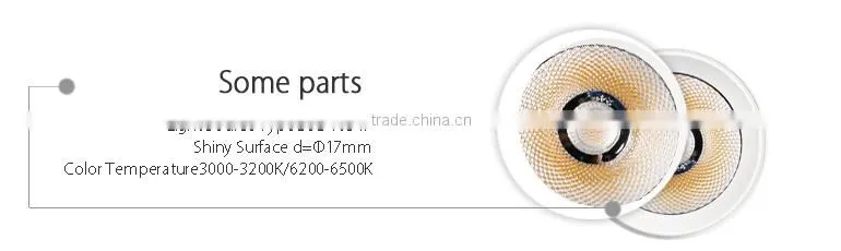 NEW PRODUCTS COB Adjustable gallery led track light syan