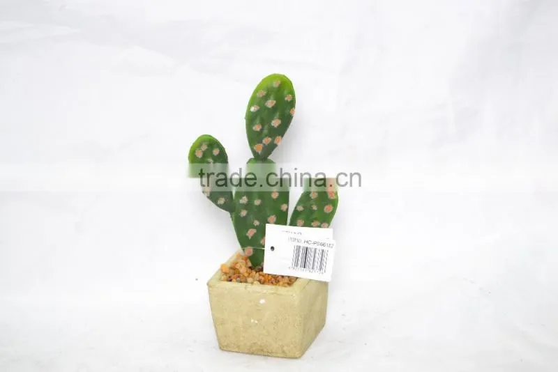 Mini Cactus with cement pot for decoration