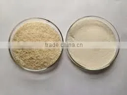 brand psyllium husk isabgol