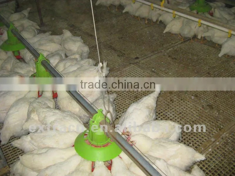 Breeder pan feeding system