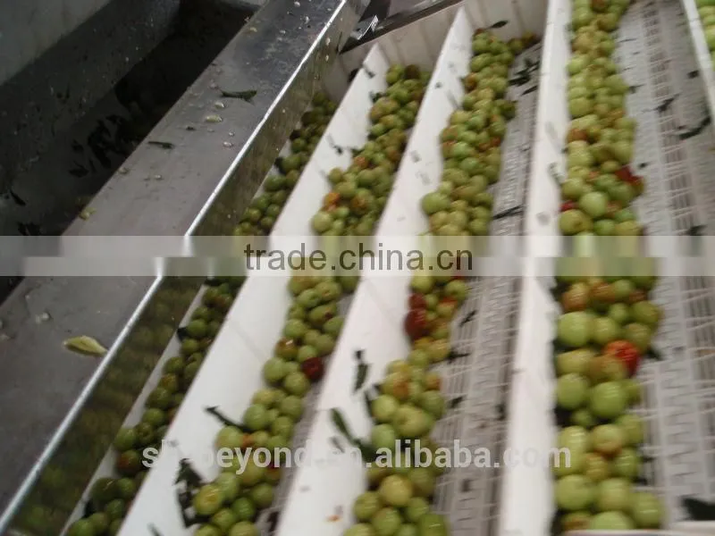 Complete Dates Processing Line