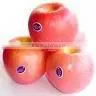 bulk fresh fuji apple2012
