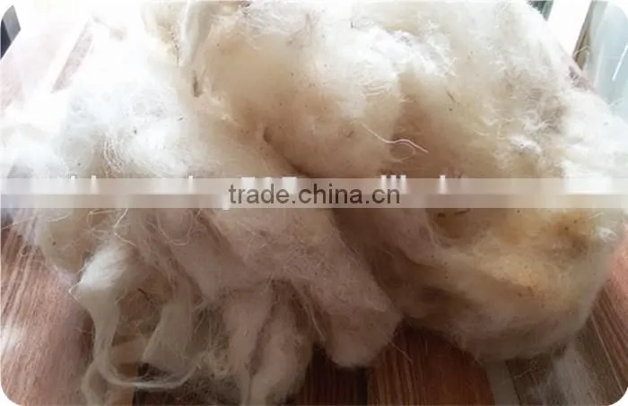Good white Greasy raw sheep wool use for Carpet