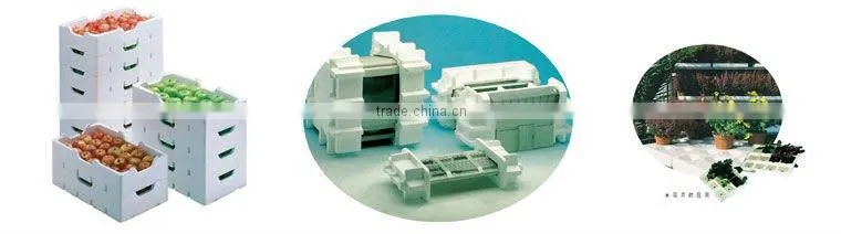 EPS Machine Leading Manufacturer in China