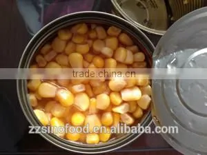 Canned Lychees in Metal Tins Canned Fruit