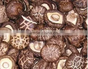 dried shiitake mushroom Smooth Shiitake mushroom dried mushroom