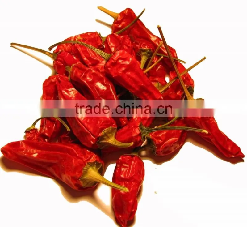 Exporters of Premium Grade Dried Red Chilli for Worldwide Importers